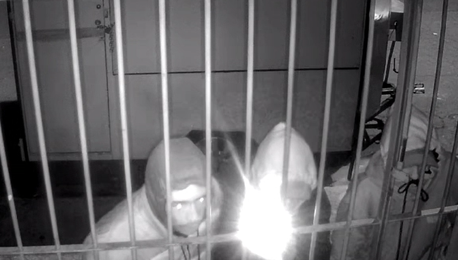 Quadrilha de furtos de motos de alta cilindrada que atuava na região é presa em São Paulo