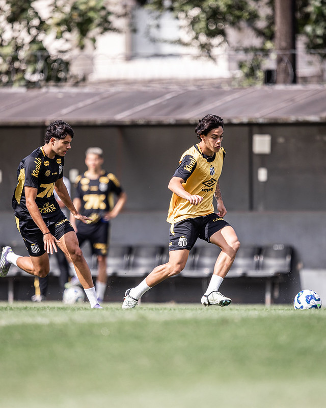Em ambiente pesado, Matheus Bachi iniciou os trabalhos no Santos para enfrentar o Bahia