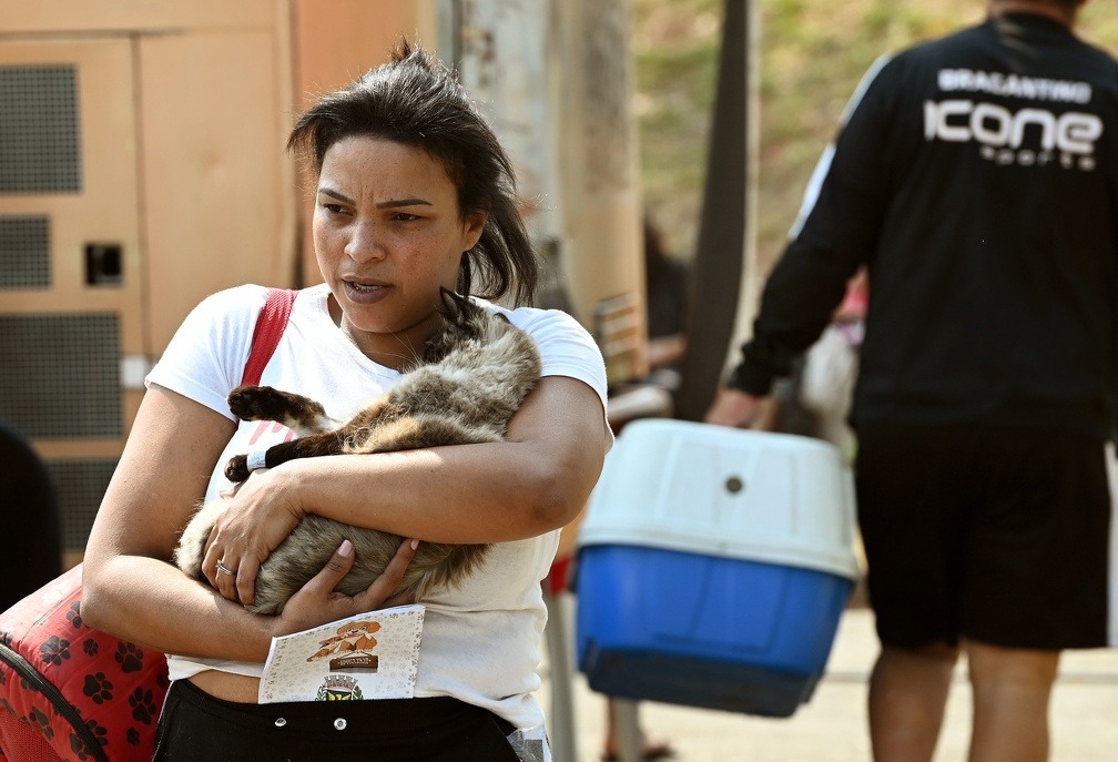 Sousas terá atendimento veterinário gratuito a partir desta segunda-feira (4)