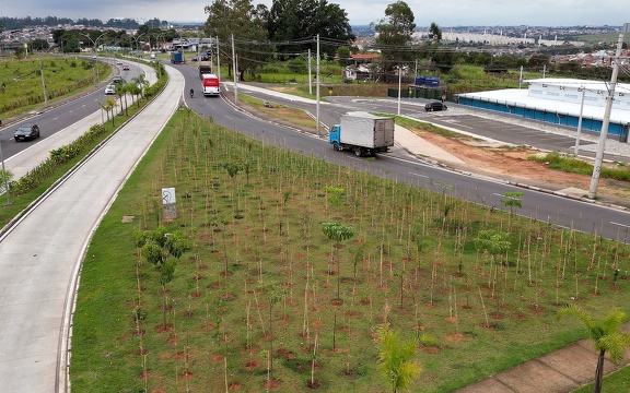 Campinas amplia áreas verdes com novas praças e reflorestamento no Campo Grande