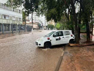 Chuva e vento provocam alagamentos e queda de árvores em Campinas