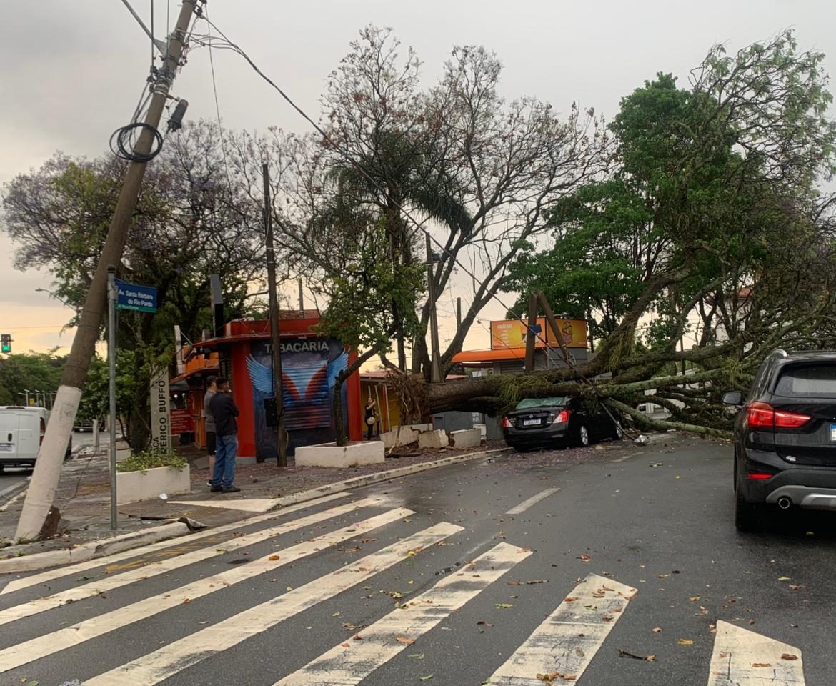 Chuva e vento provocam alagamentos e queda de árvores em Campinas