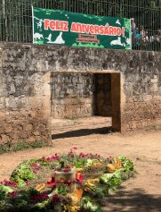 Hipopótamo Dinho celebra 19 anos e ganha festa no Bosque dos Jequitibás