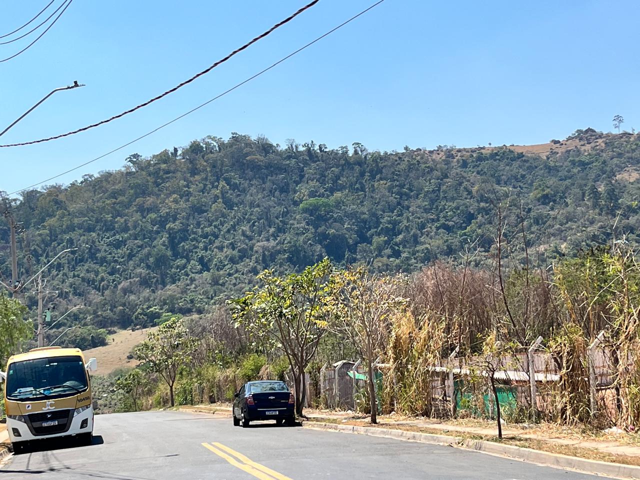 Incêndios em vegetação são extintos em Valinhos, afirma Defesa Civil Municipal