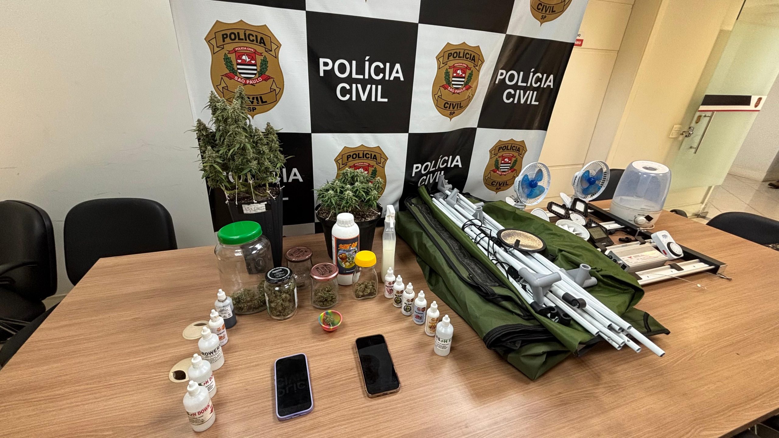 Polícia prende casal por cultivo de maconha em estufa industrial em Piracicaba 