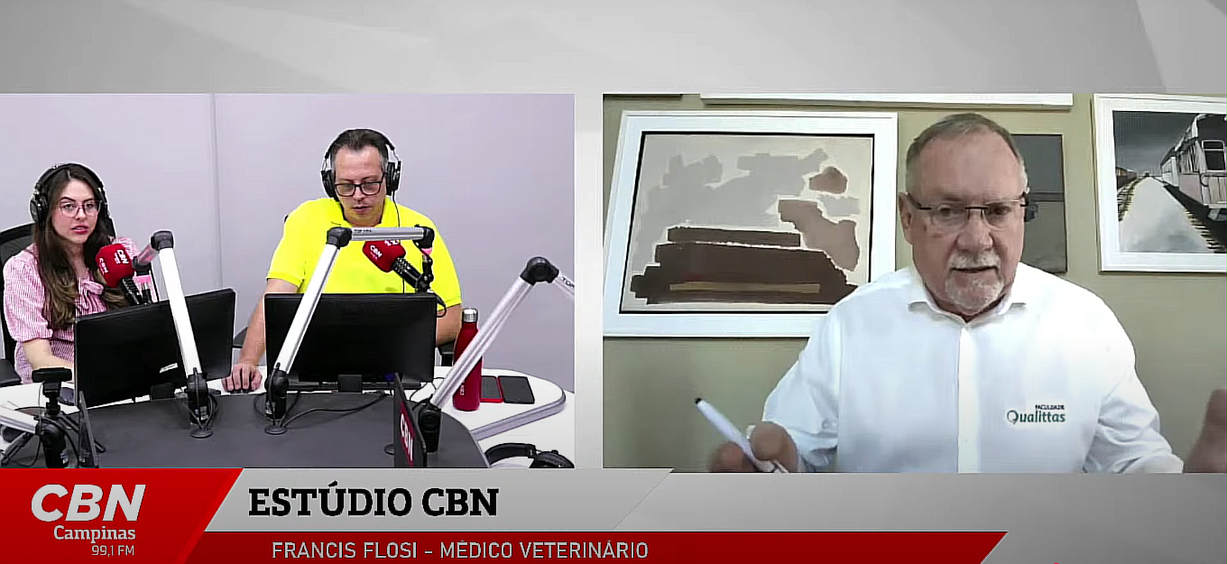 Cuidados essenciais com pets durante o calor extremo I Pet News