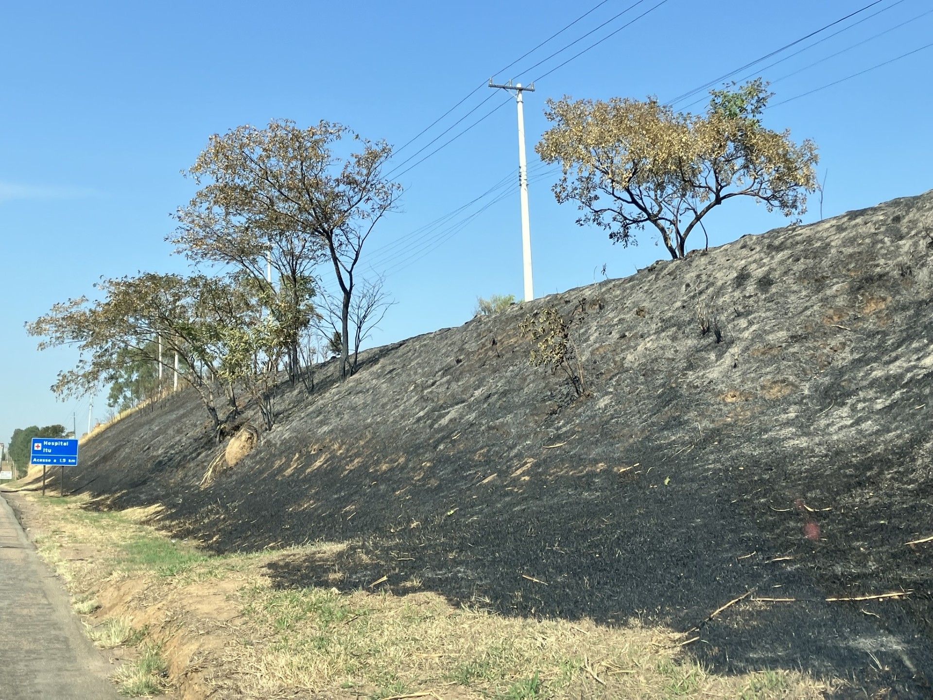 Cresce o número de fiscalização ambiental em Campinas