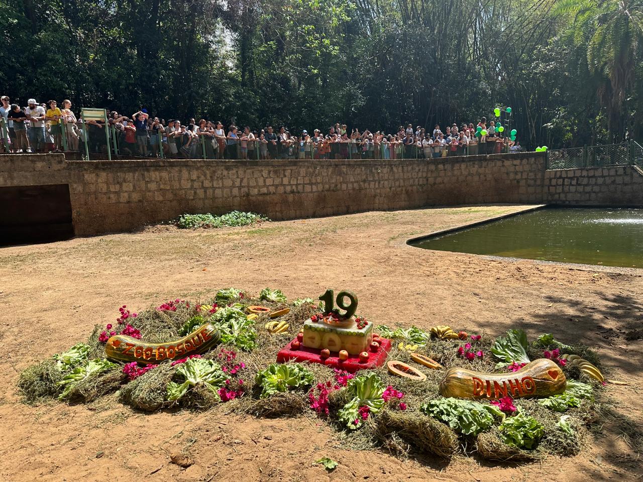 Hipopótamo Dinho celebra 19 anos e ganha festa no Bosque dos Jequitibás