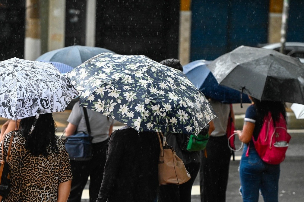 Campinas lidera volume de chuva no Estado em 24h, mas registra apenas queda de árvore