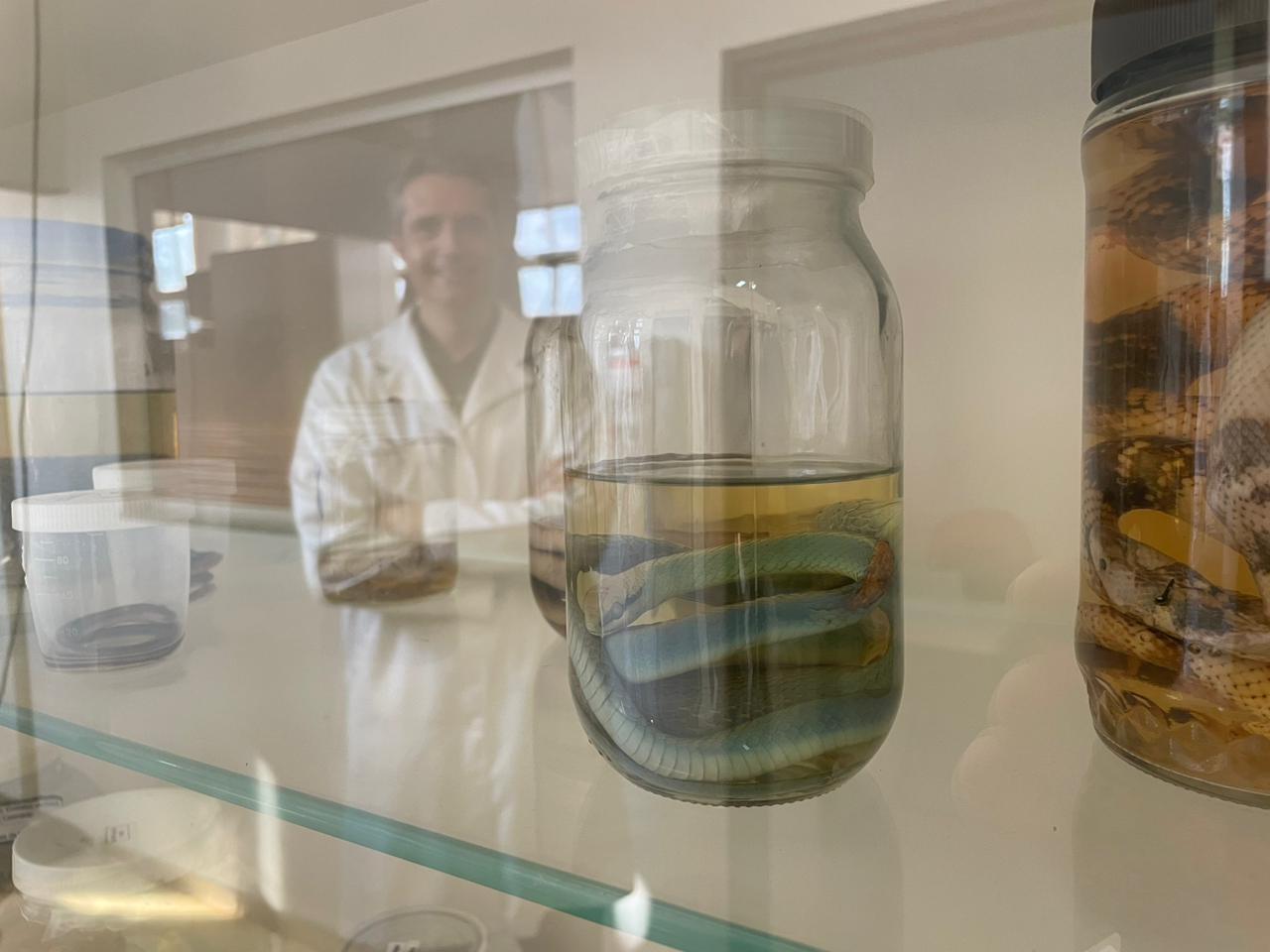 CIATox da Unicamp: do metanol a novas drogas, laboratório é referência nacional