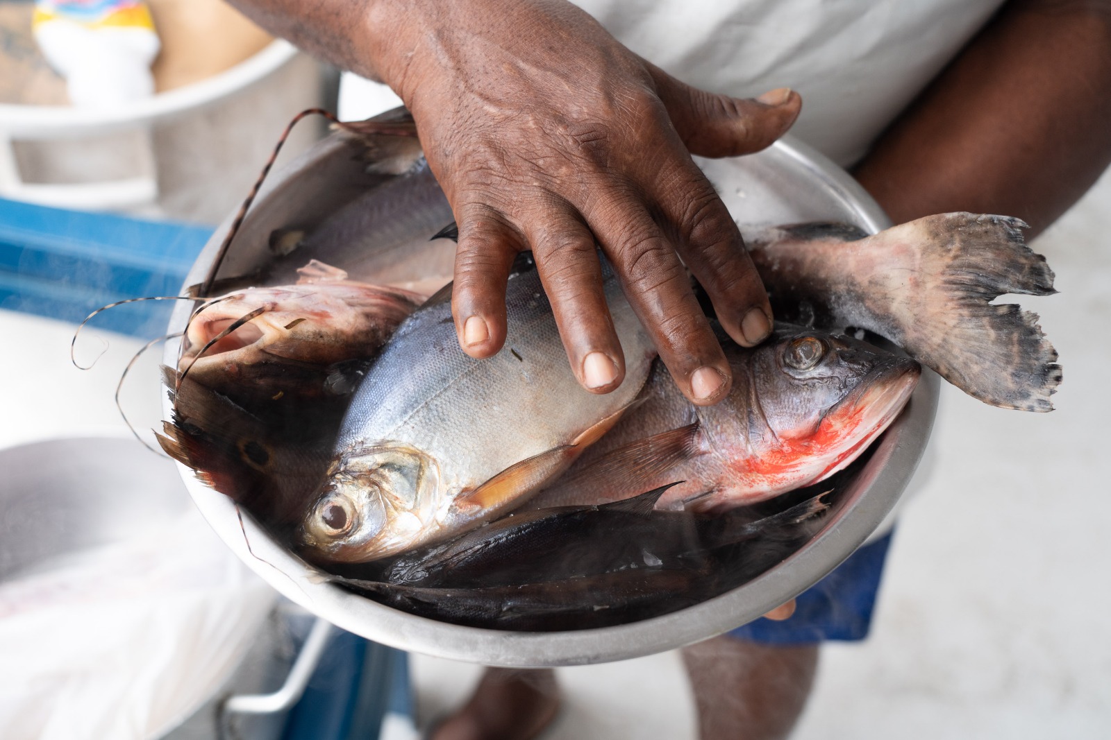 Exposição sobre comunidades ribeirinhas da Amazônia abre em Campinas