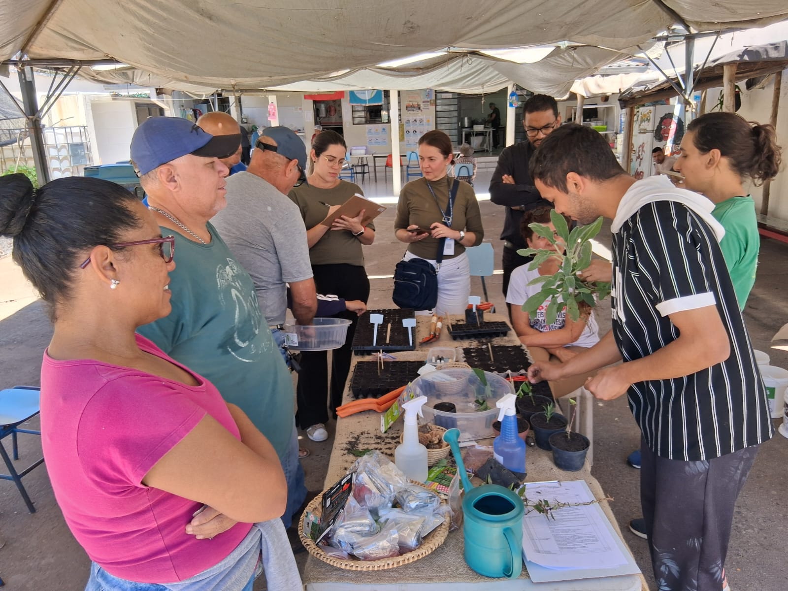 Hortas coletivas transformam comunidades em Campinas; ouça