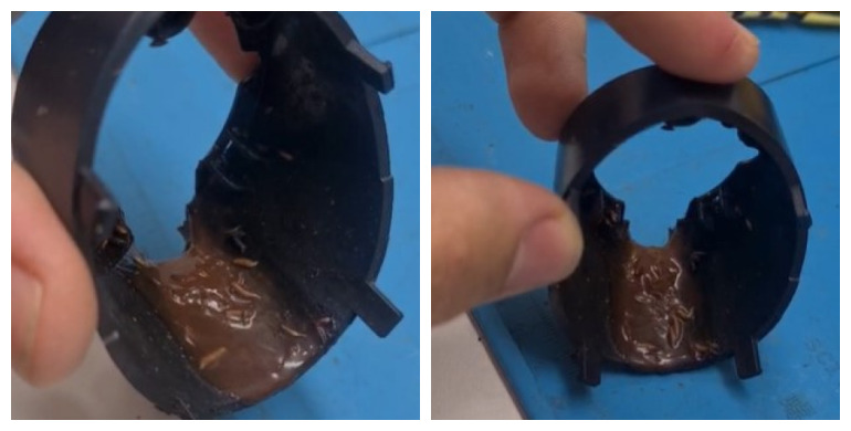 Loja viraliza com limpeza de cafeteiras após encontrar larvas em máquina