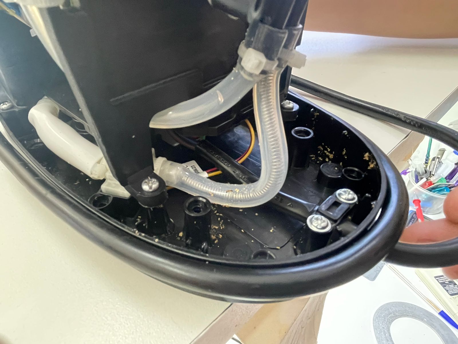 Loja viraliza com limpeza de cafeteiras após encontrar larvas em máquina