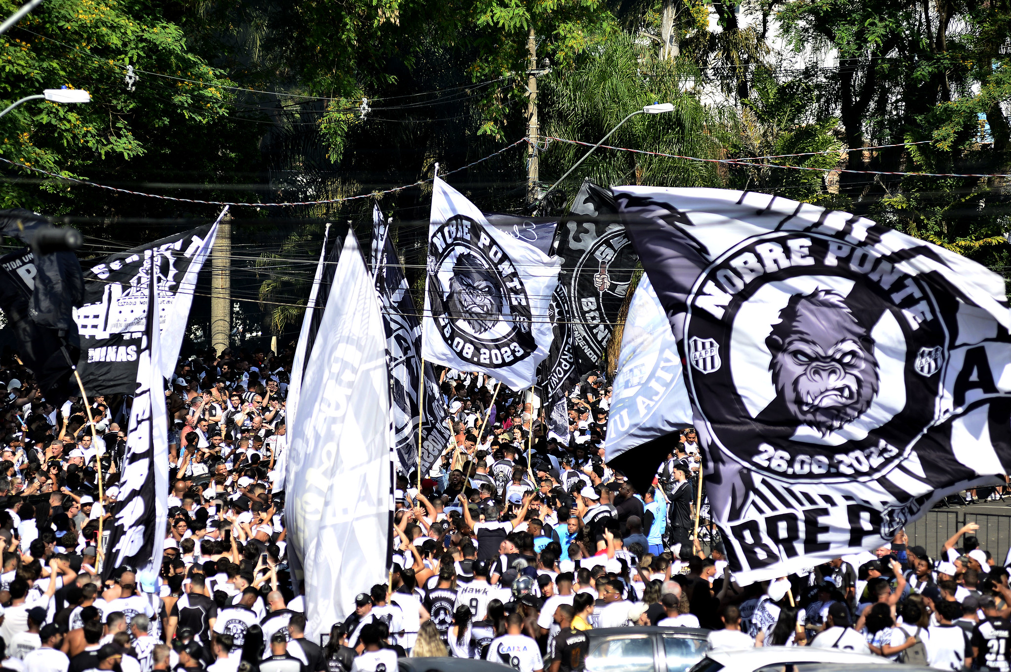 Ponte Preta divulga detalhes dos ingressos para decisão contra o Londrina