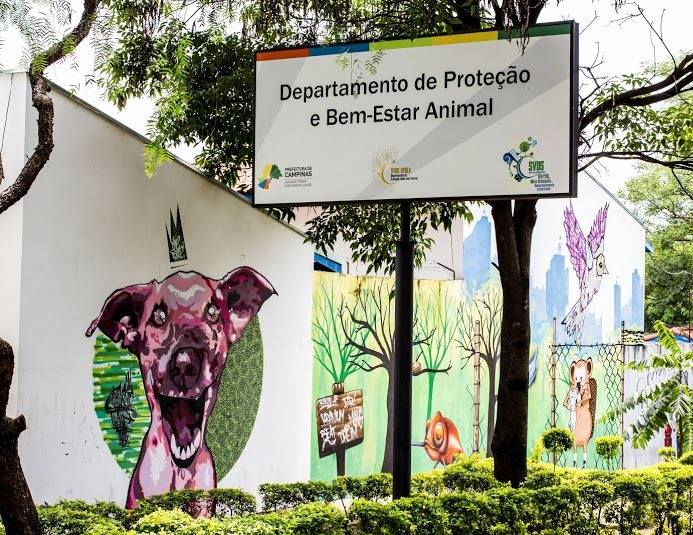 Quatro cavalos são furtados da sede do DPBEA em Campinas