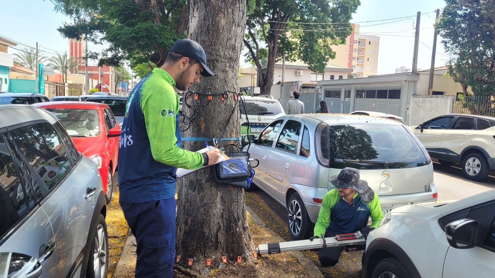 Indaiatuba avalia saúde de árvores em três regiões da cidade