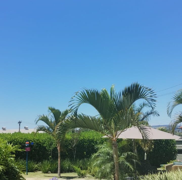 Calor volta e temperatura pode bater os 33º em Campinas no fim de semana; confira