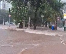 Temporal provoca quedas de árvores e alagamentos em Campinas