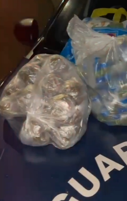 Homem é preso com grande quantidade de drogas em sacolas de supermercado em Campinas