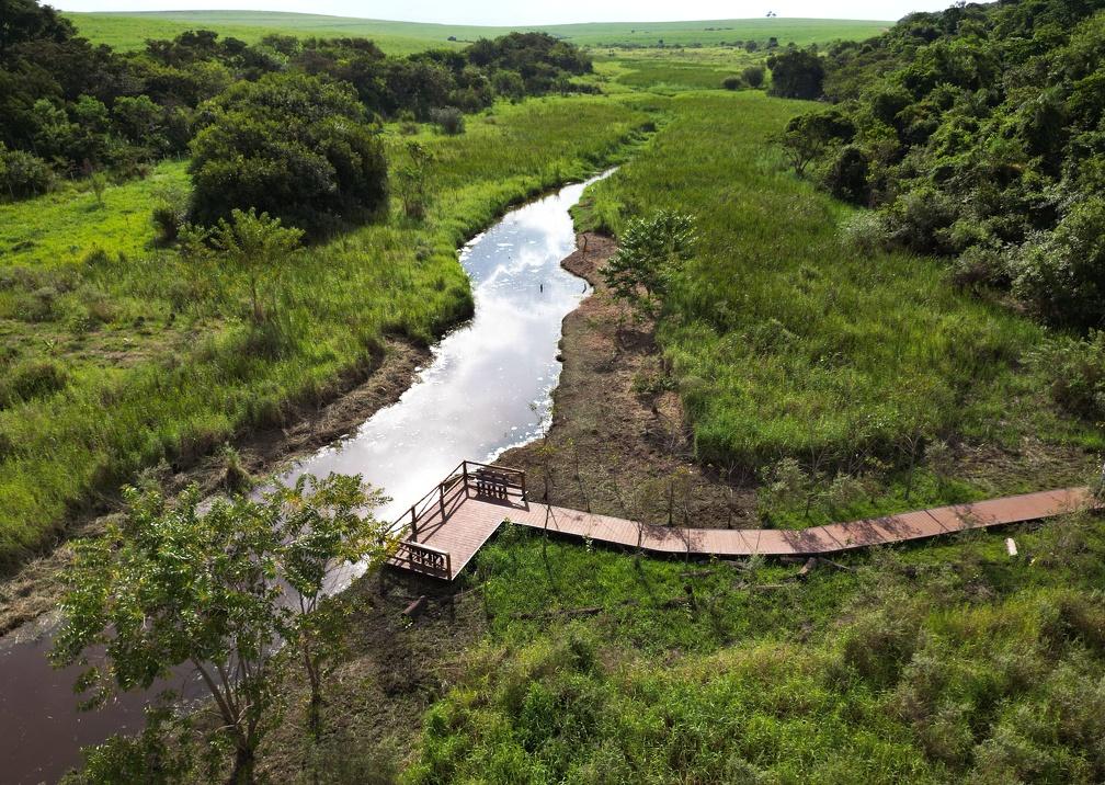 Mata de Santa Genebra tem reforço na vigilância com novas câmeras