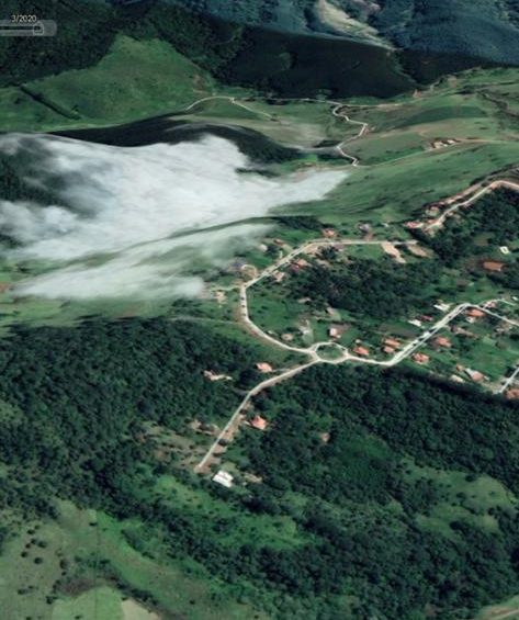 Campinas recebe curso imersivo sobre bambu com engenheiro agrônomo