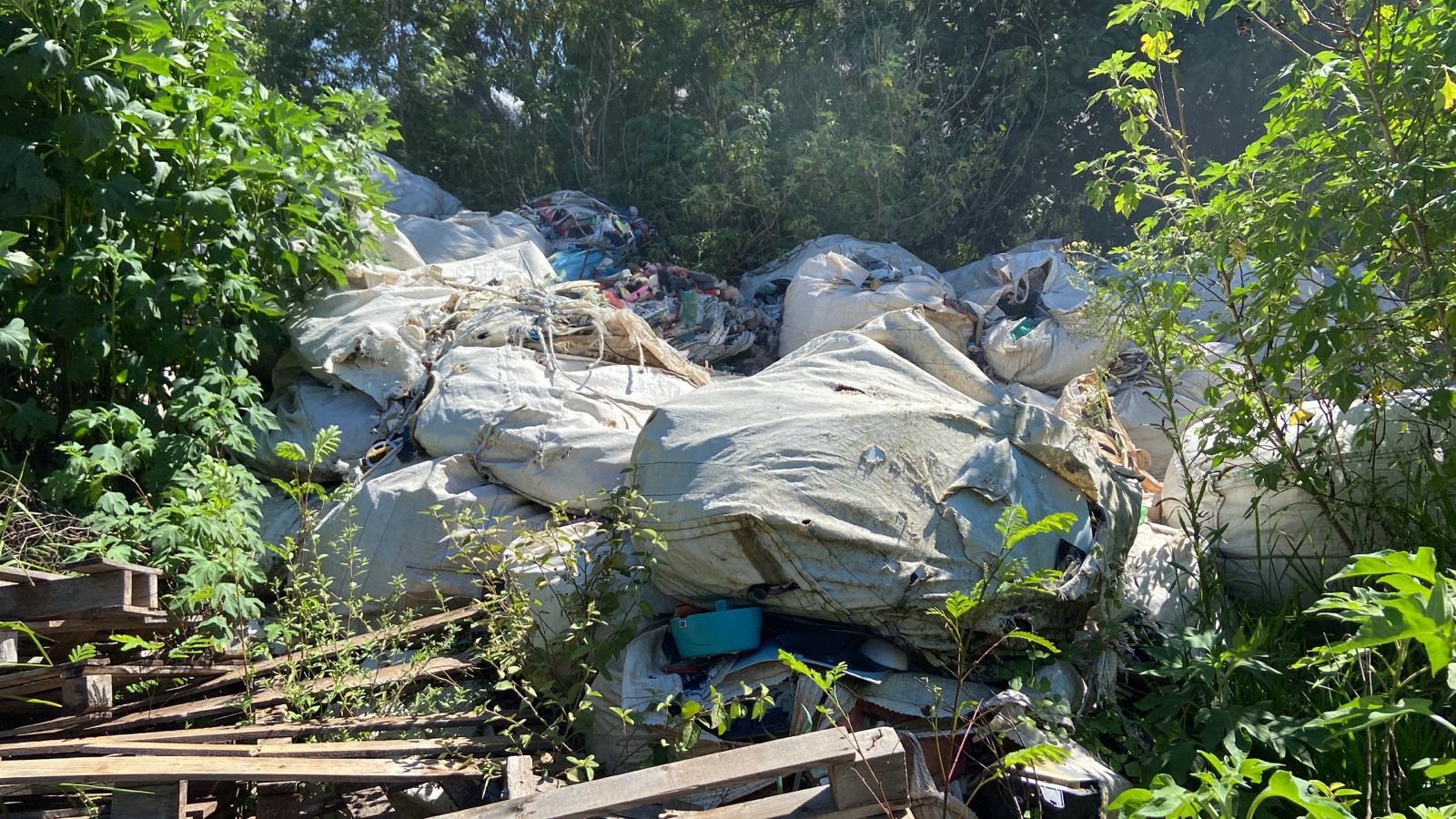 Incêndio atinge área de mata com descarte irregular de lixo em Campinas