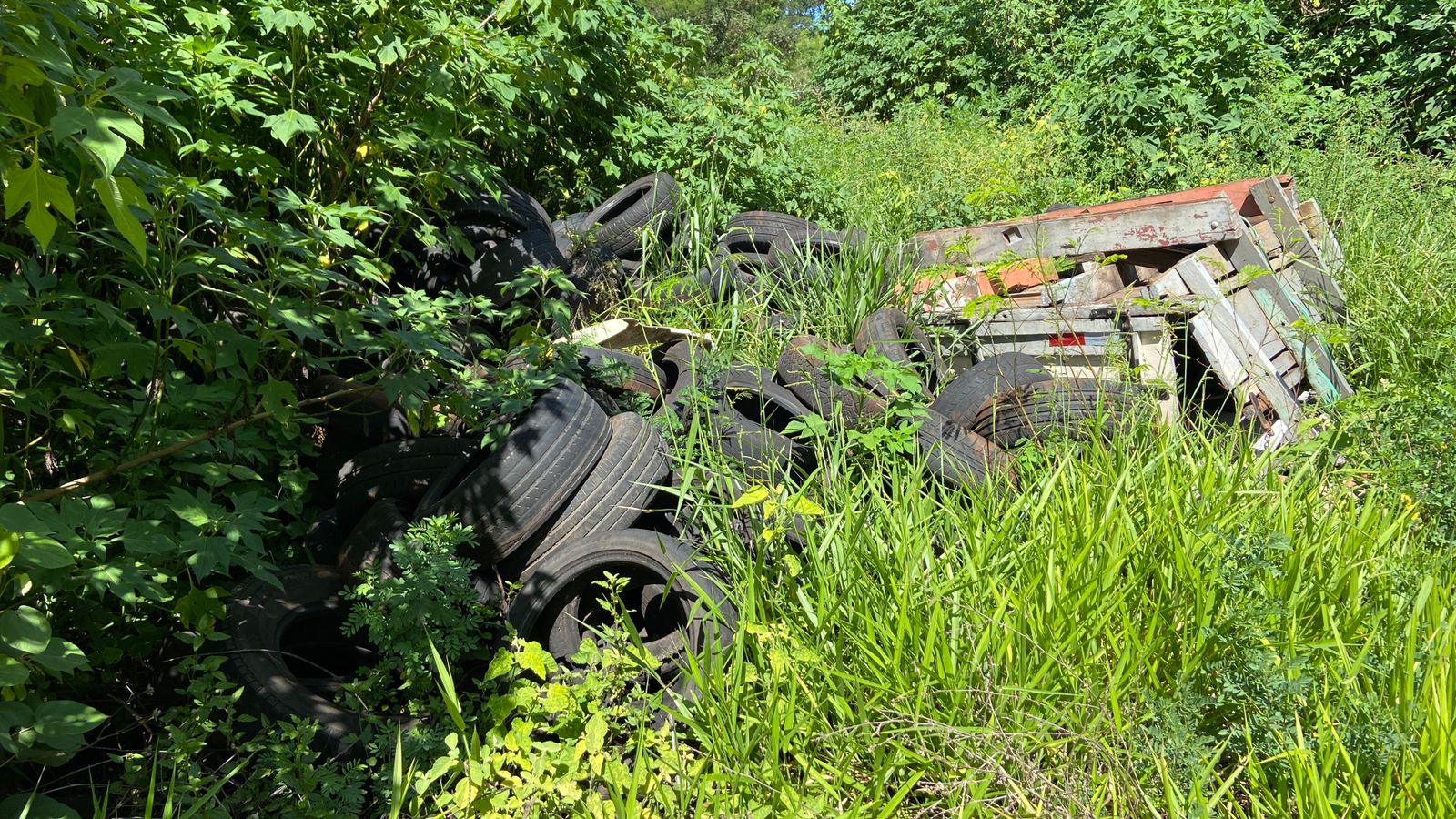 Incêndio atinge área de mata com descarte irregular de lixo em Campinas