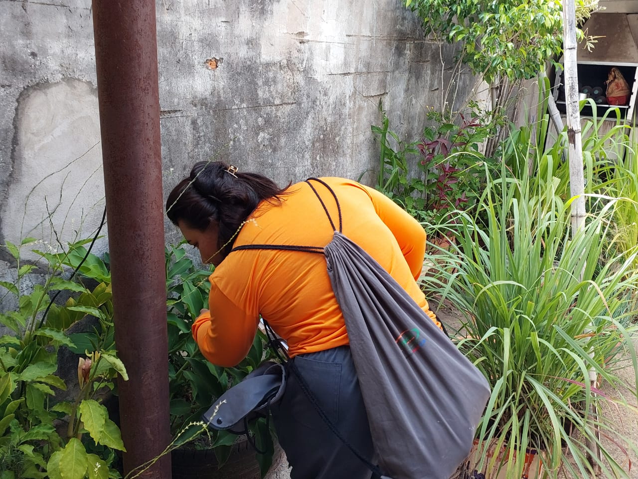 Mutirão contra dengue reforça alerta para verão e risco de nova epidemia em Campinas