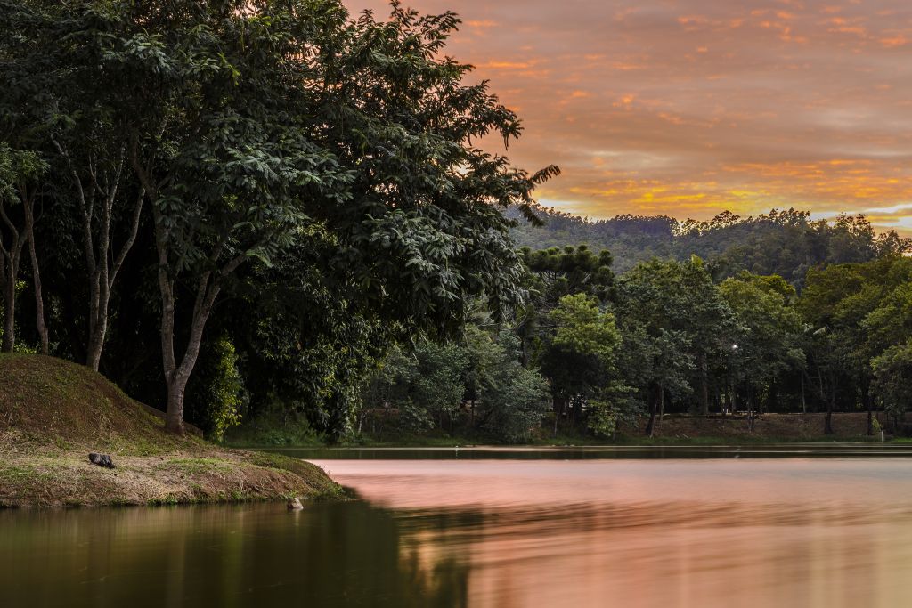 Turismo regional: Espírito Santo do Pinhal estima movimentar mais de R$ 7 milhões em dezembro
