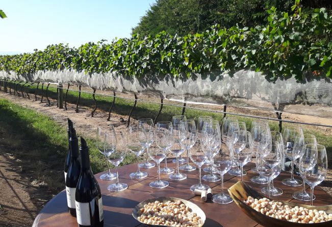 Turismo regional: Espírito Santo do Pinhal estima movimentar mais de R$ 7 milhões em dezembro