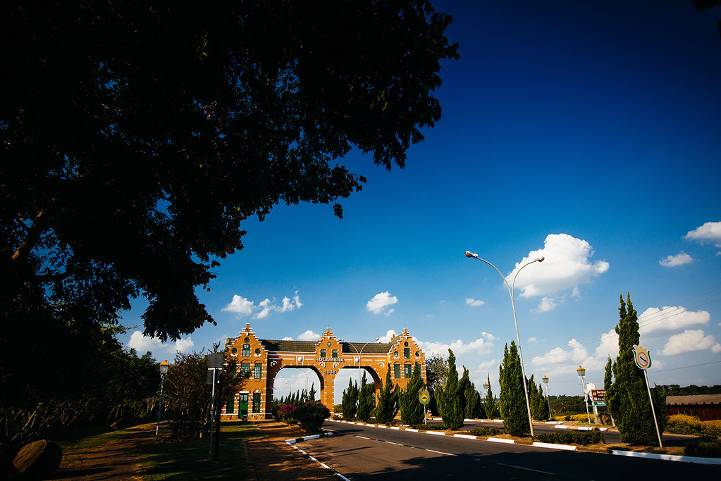 Turismo regional: Holambra estima mais de 1,2 milhão de visitantes neste fim de ano