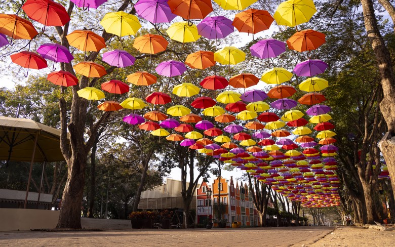 Turismo regional: Holambra estima mais de 1,2 milhão de visitantes neste fim de ano