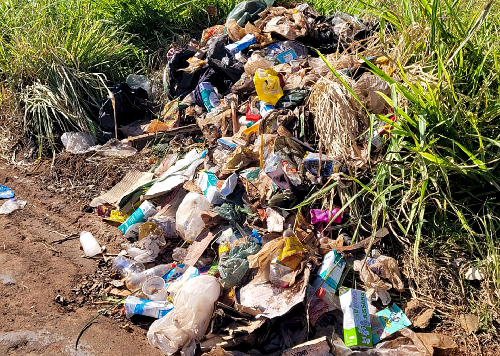 Santa Bárbara d'Oeste