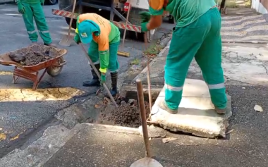 Muitos criadouros do mosquito da dengue ainda são encontrados em casas de Campinas, e conscientização é obrigatória