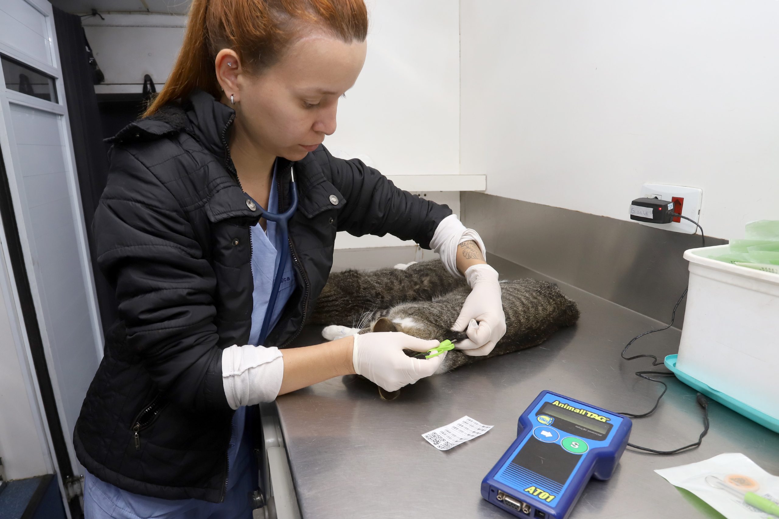 Prefeitura abre 1.000 vagas para castração e microchipagem gratuita em Barão Geraldo