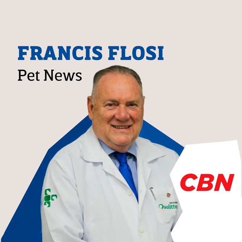 Nova lei estadual autoriza o sepultamento de animais de estimação em jazigos familiares em São Paulo