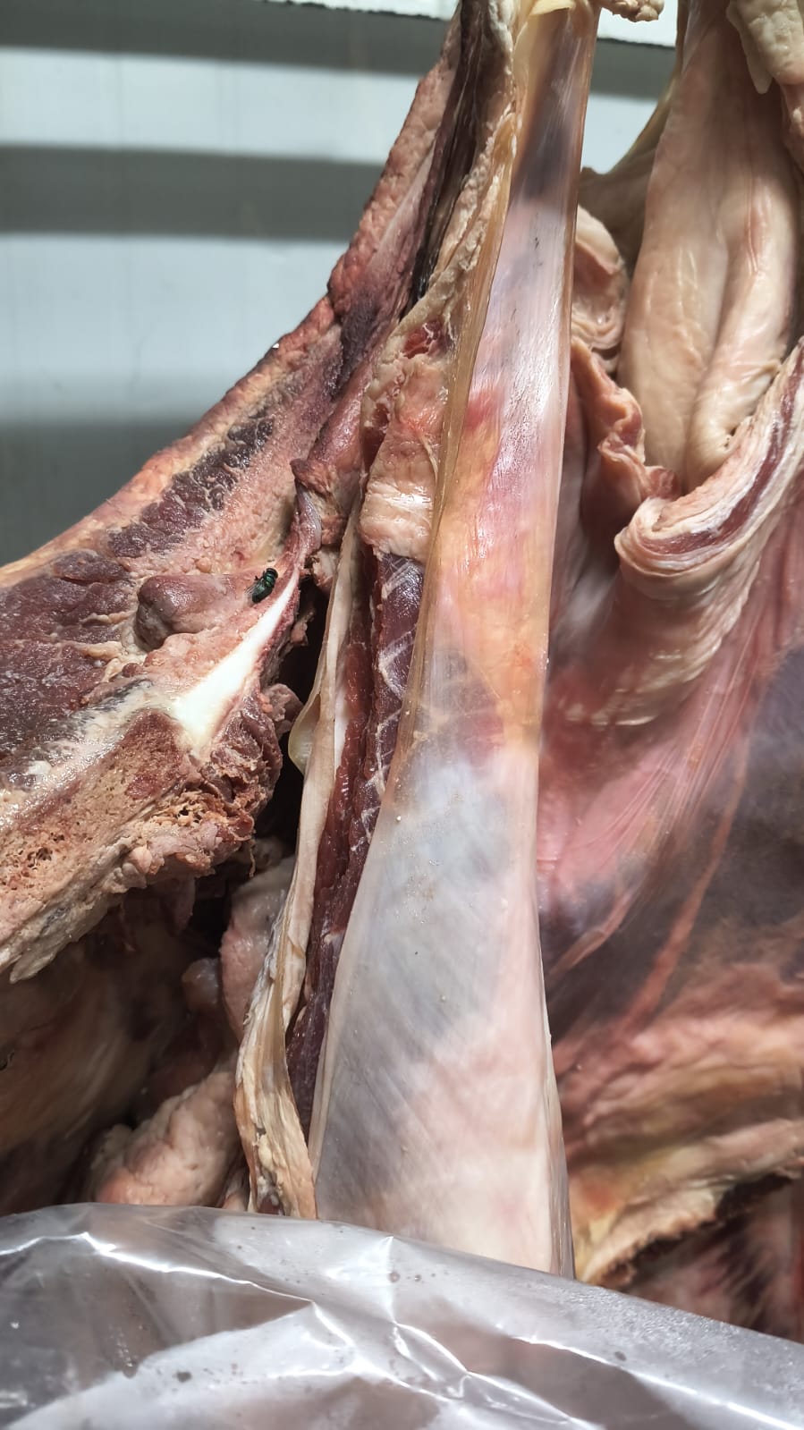 Vigilância interdita supermercado em Americana e apreende produtos impróprios para consumo