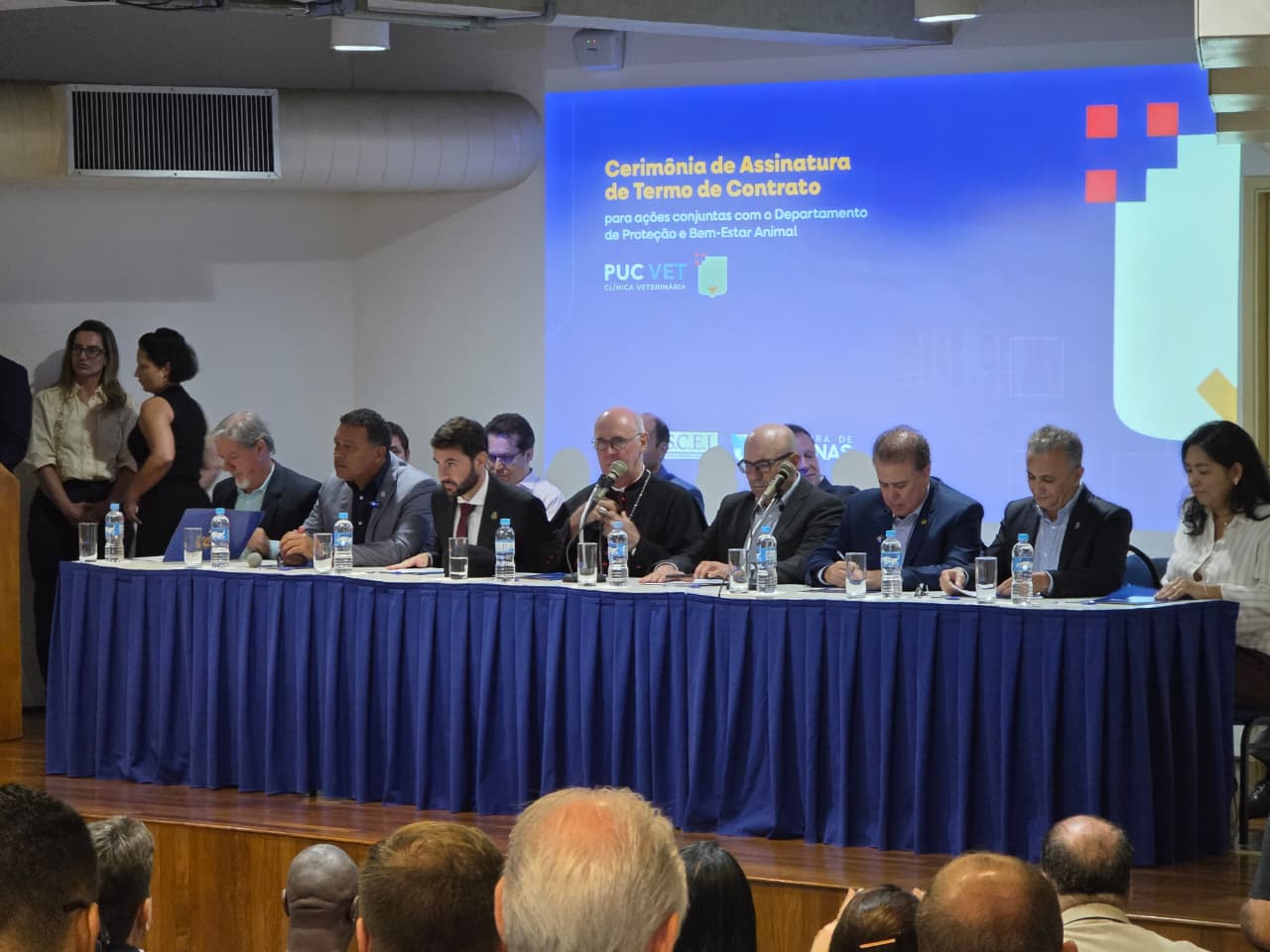 Novo Hospital Veterinário de Campinas vai acolher cães e gatos resgatados das ruas