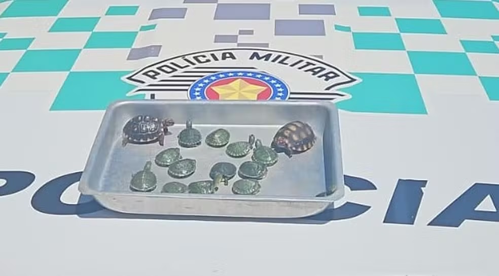 Polícia Ambiental aplica mais de R$ 20 mil em multas por cativeiro irregular de animais em três cidades da região