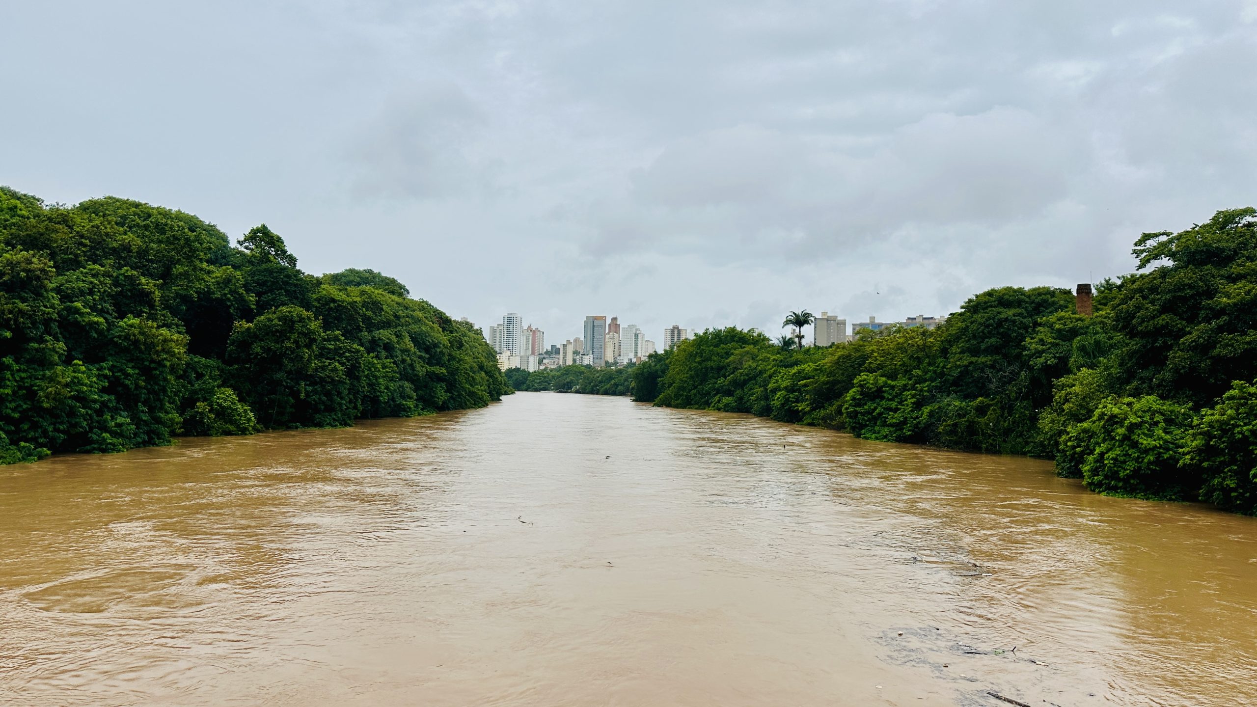 Rio Piracicaba entra em estado de extravasamento após fortes chuvas 