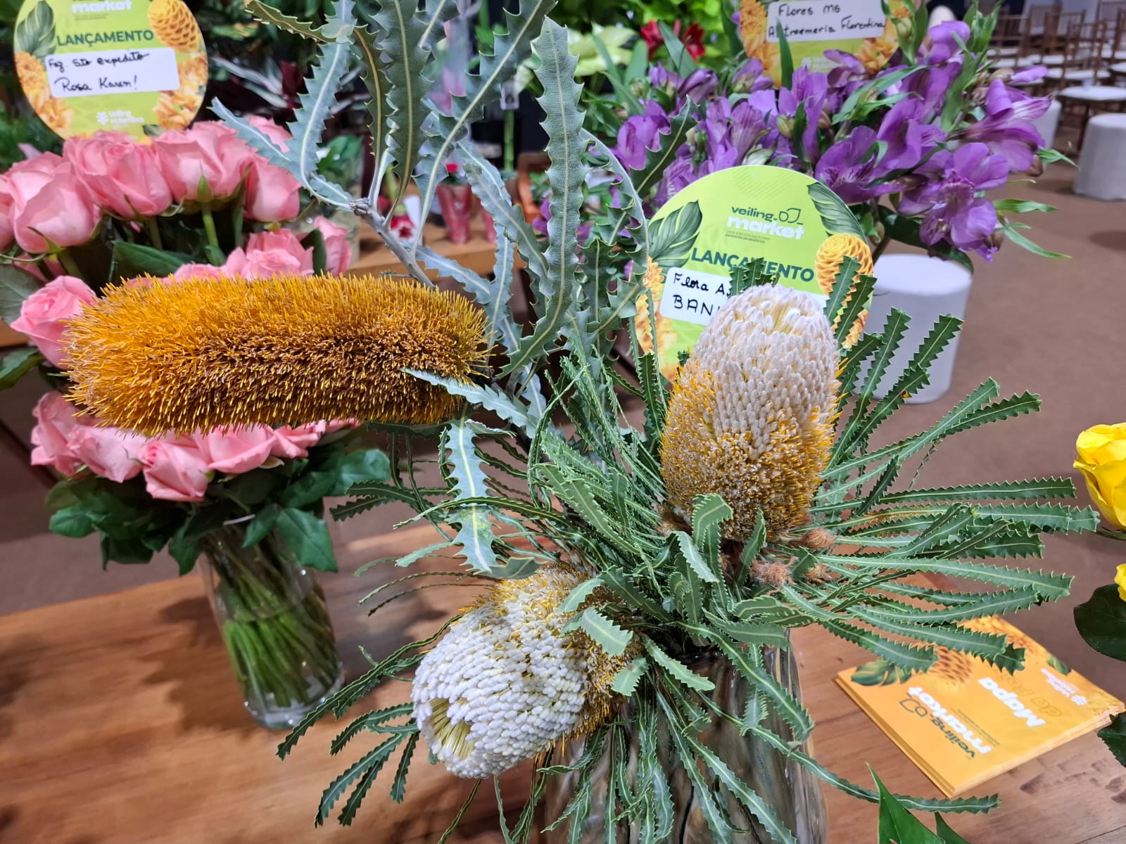Veiling Marketing 2026. Flores banksias australianas são destaque na feita este ano. 