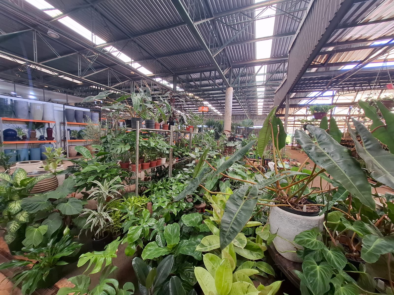 Mercado de plantas e flores Ceasa Campinas 