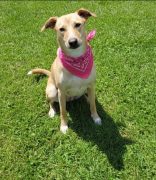 Centro de Convivência