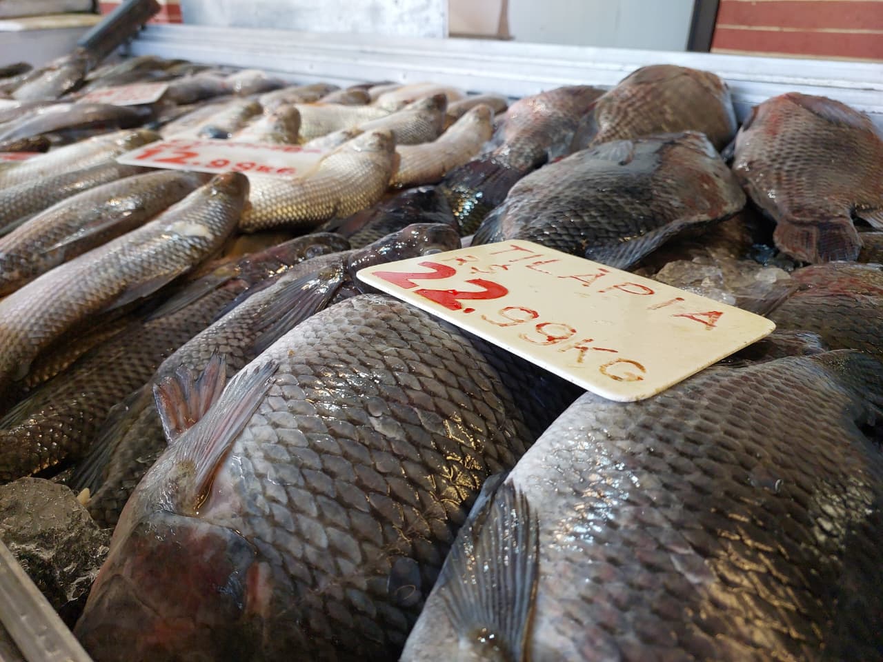 Ícones da Quaresma, peixes devem salgar os preços da ceia de Páscoa em 2026