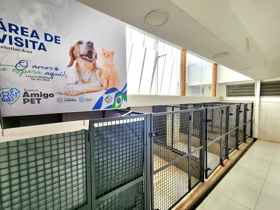 Limeira inaugura clínica veterinária pública; mutirão de castração acontece no fim de semana